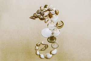 Vintage seahorse made of sea shells