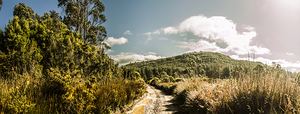 Outback country road panorama