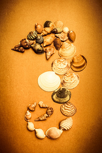 Marine Seashell Seahorse Design