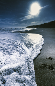 Blue moonlight beach landscape