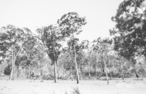 In gusts of a snowstorm