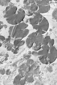 Floating abstraction