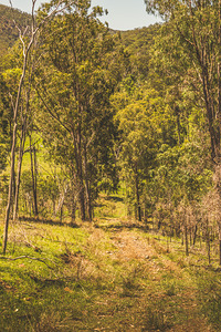 Lush country adventures