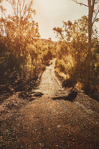 Sunflare Thoroughfare 