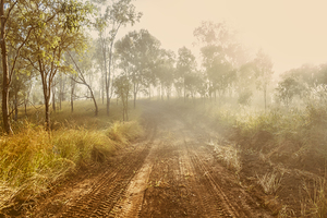 Bushland Backroad