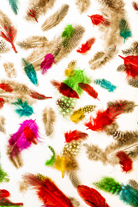 Floating in colourful abstract