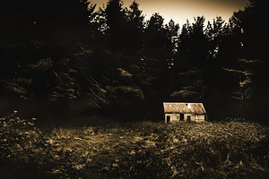 Beauty in dilapidation