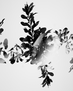 Connection to all that is