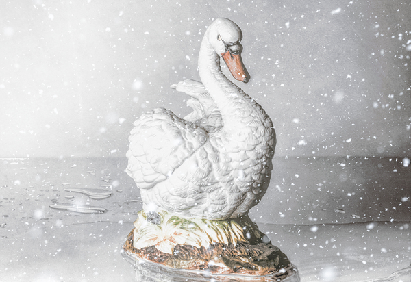 Porcelain winters Print