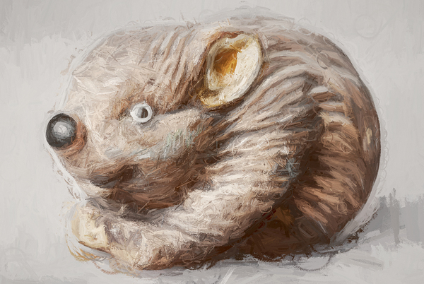 Wombat Quirk Print
