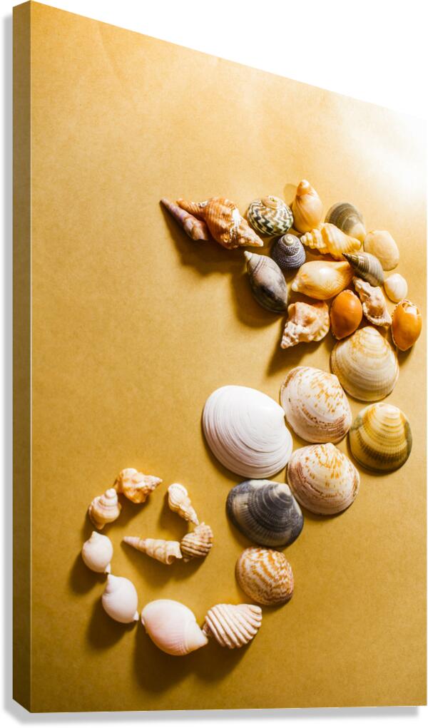 Seahorse art abstract Canvas Print