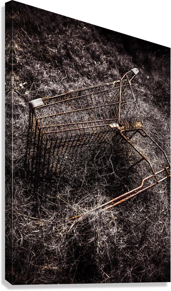 The not so great reset Canvas Print