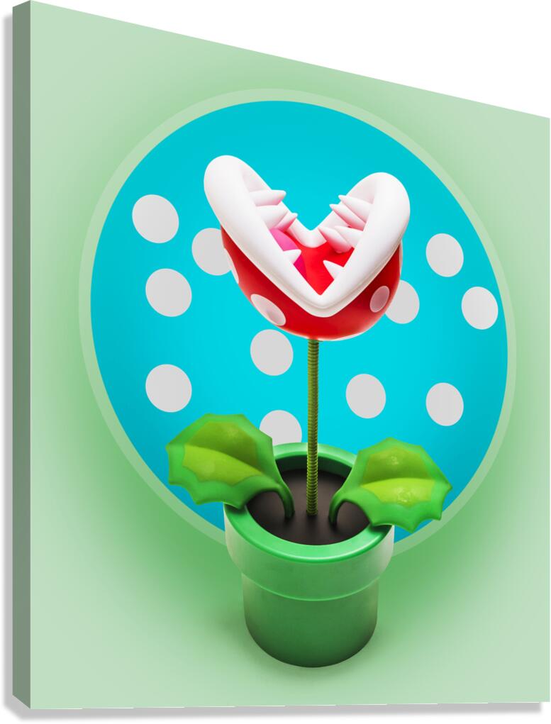 Bitancial  Canvas Print