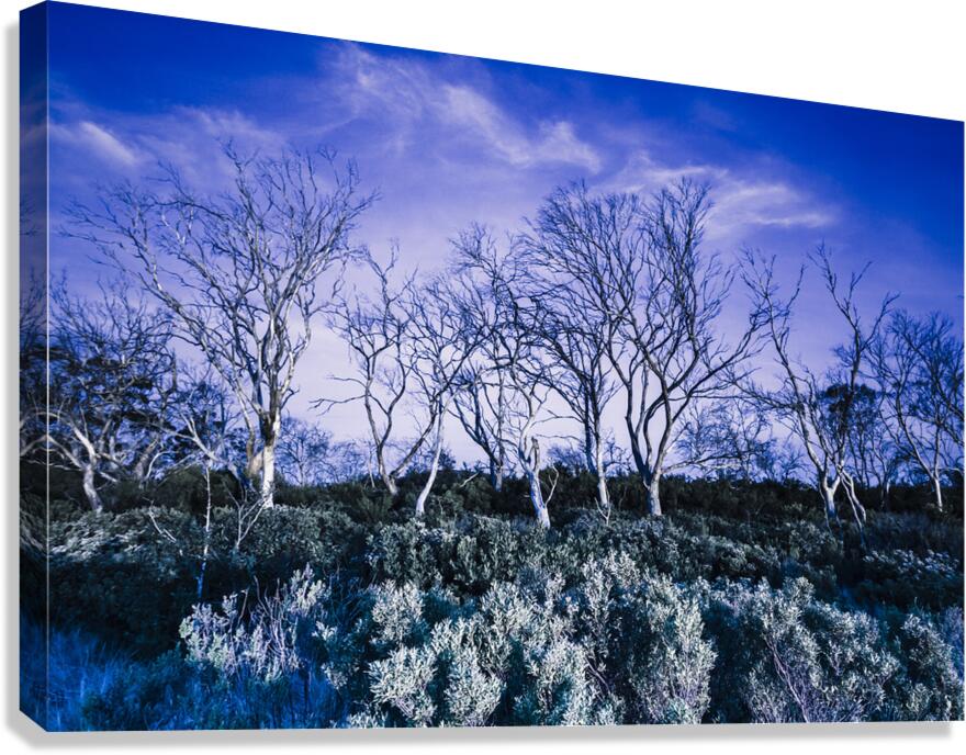 Dark scene from scary dreams Canvas Print