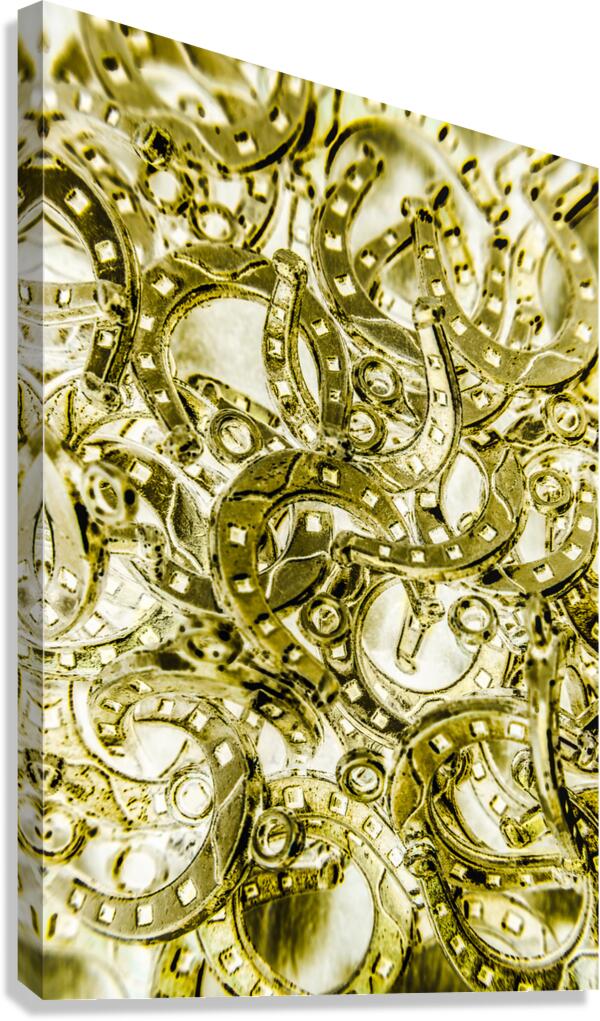 Charming western Canvas Print