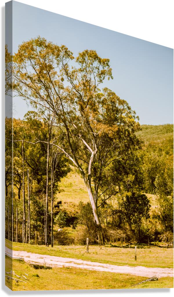 Quaint country view Canvas Print