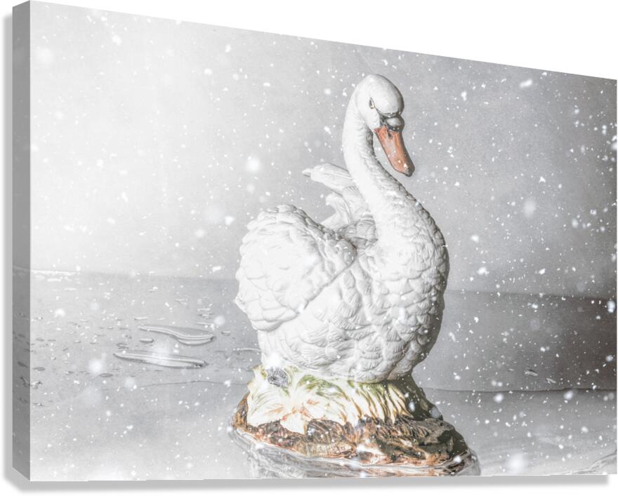 Porcelain winters Canvas Print