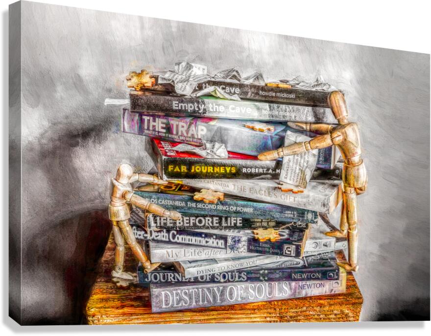 A Novel Escape Canvas Print